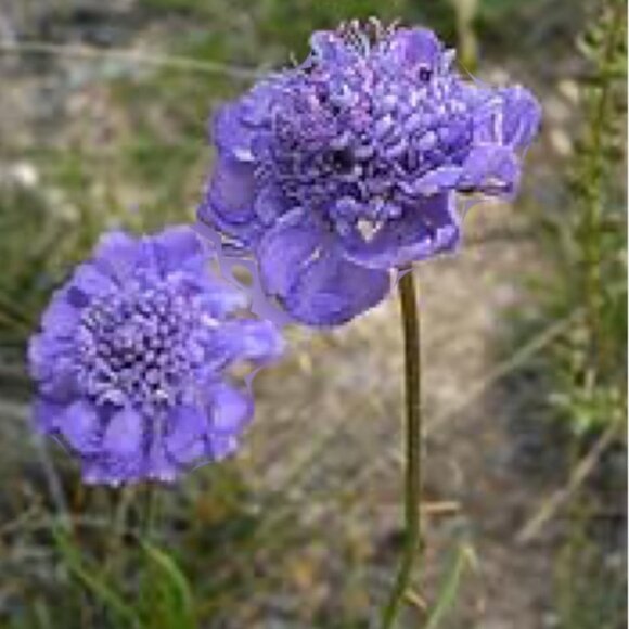 I'm featured today - Picture 10 of 15